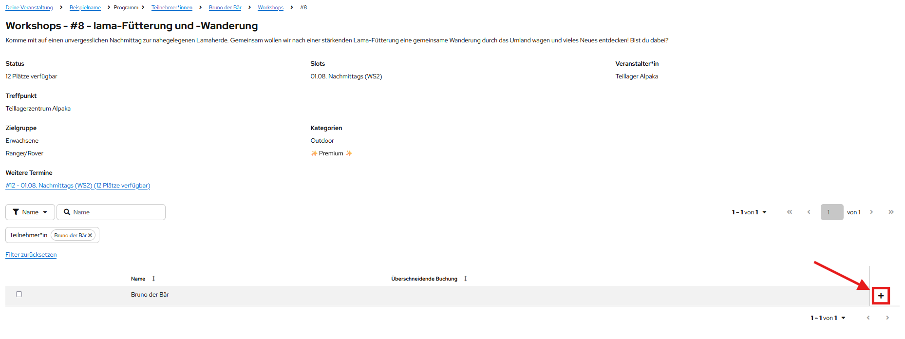Buchung des Workshops für Bruno den Bären
